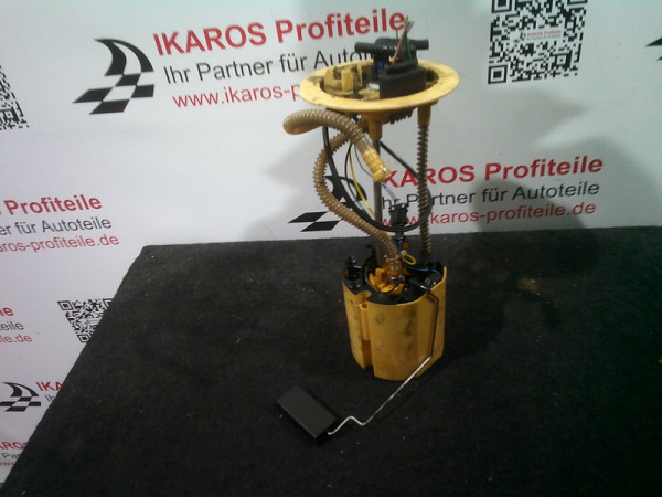 Audi A6 4F Kraftstoffpumpe Pumpe Benzinpumpe A2C53026379