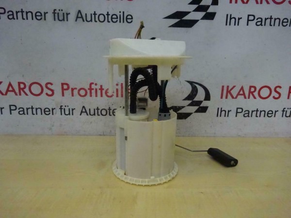 Peugeot 1007 Benzinpumpe Kraftstoffpumpe Pumpe Benzin