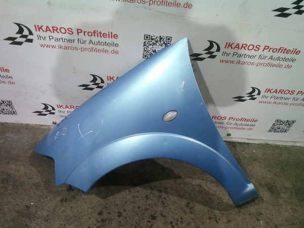 Citröen C3 Kotflügel Fahrerseite vorne links Hellblau Fahrer 