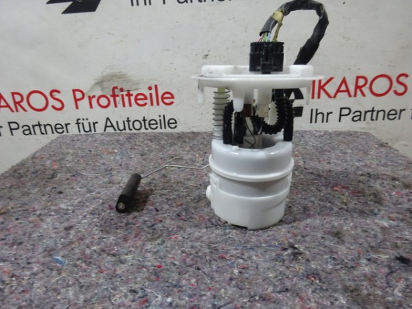 Peugeot 3008 Benzinpumpe Pumpe Benzin Kraftstoffpumpe 702701510 