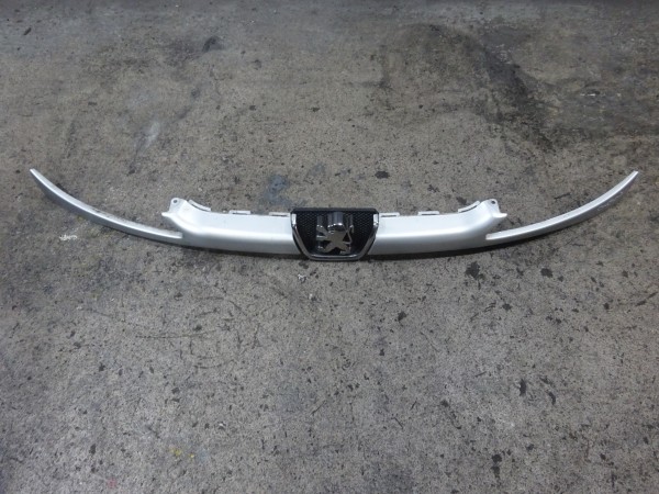 Peugeot 206 Kühlergrill Grill Frontgrill Frontmaske Silber 3 