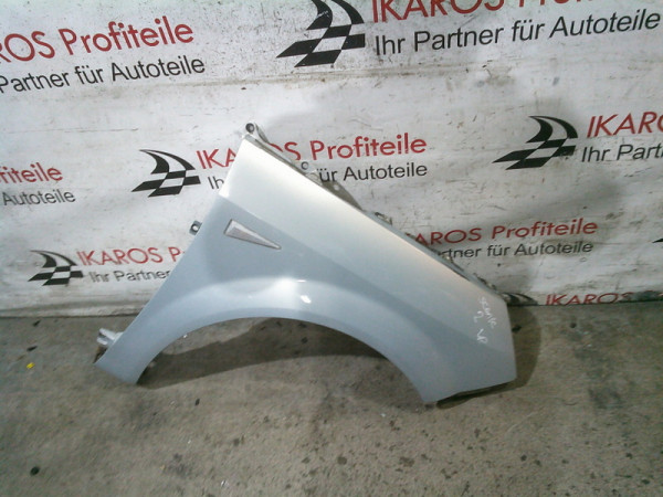 Renault Scenic ll 2 Kotflügel Beifahrerseite vorne rechts Silber 