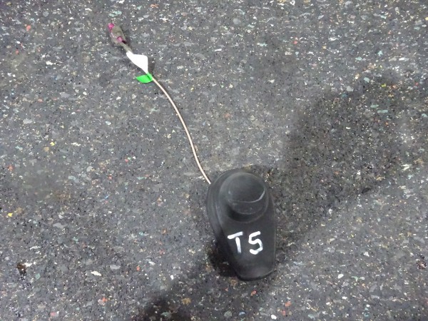 VW T5 7H Antenne Dachantenne Radioantenne Dach
