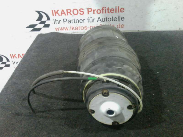 Mercedes E-Klasse W211 Luftfederung hinten links Stoßstämpfer