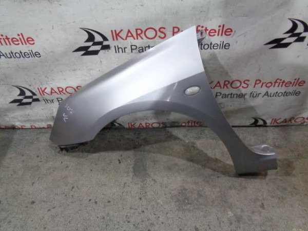 Peugeot 307 Kotflügel Fahrerseite vorne links Silber 2