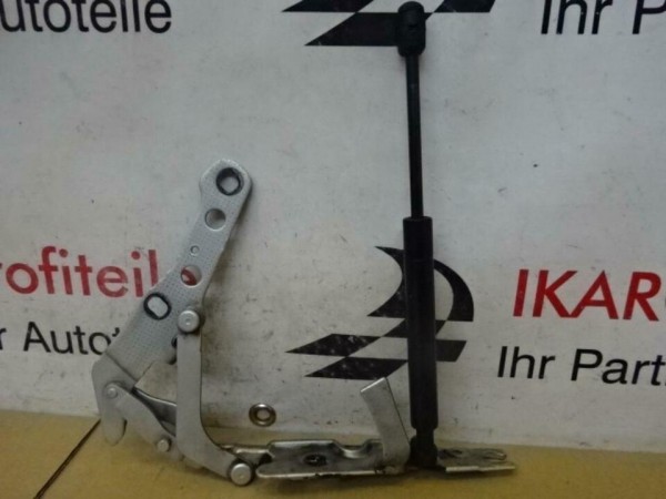 BMW X3 Satz Scharniere rechts Gasfeder Dämper Gasdämpfer 3411448