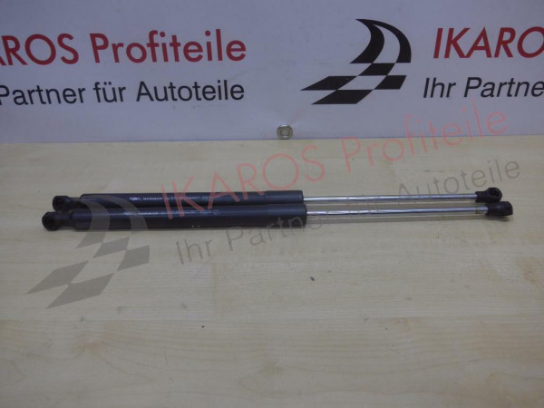 Renault Clio III 3 Heckklappendämpfer Gasfeder Dämpfer Feder 8200299546