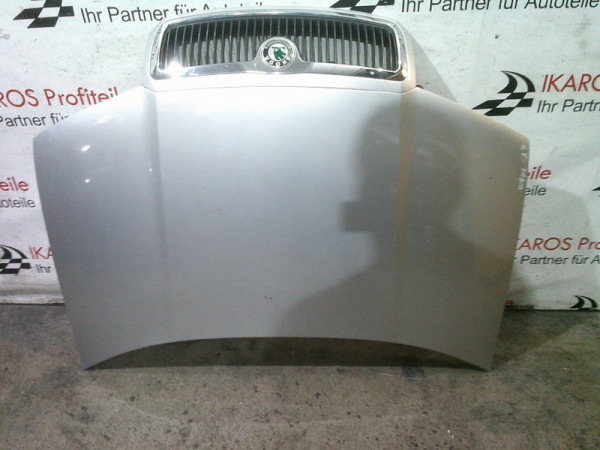 Skoda Fabia 6Y Motorhaube Haube vorne Silber 