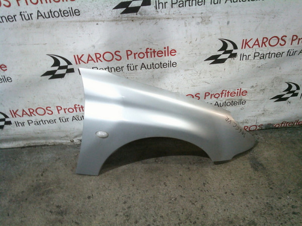Peugeot 206 CC Kotflügel Beifahrer vorne rechts Silber Rostfrei